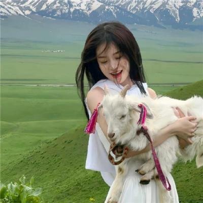 地平线系列:太阳系的秘密