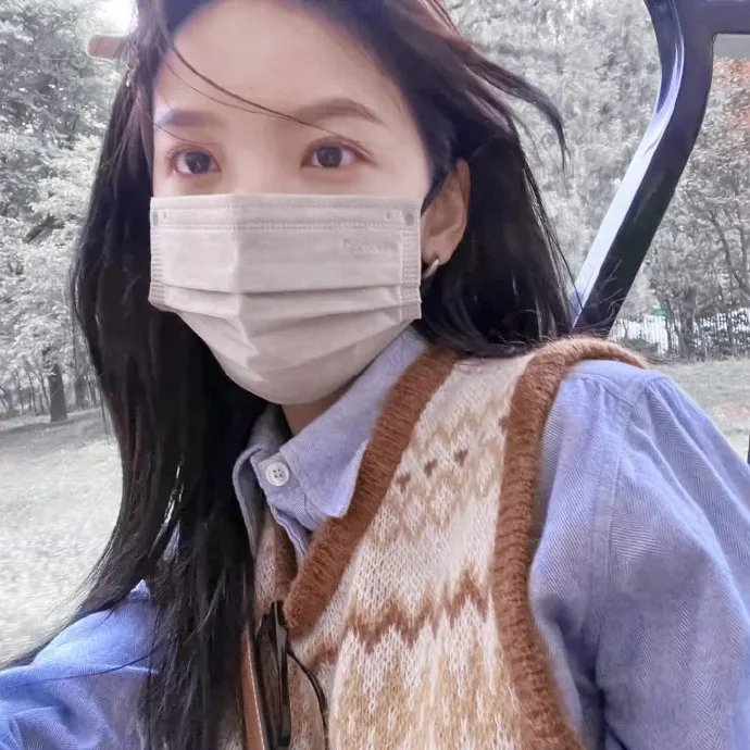阁楼里的花